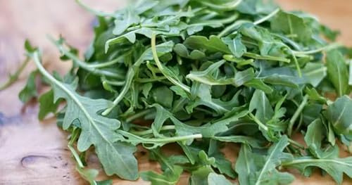 3000 SEMI RUCOLA SELVATICA ITALIANA (Diplotaxis Tenuifolia) SEMENTI ORTO PROFESSIONALI SEEDS SEMEN SEMILLAS GRAINES