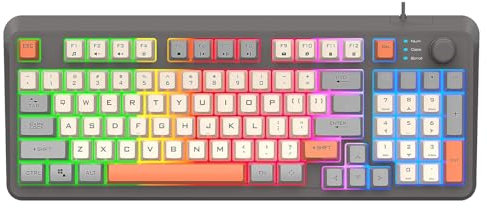 Lancoon Teclado Compacto con Cable para Juegos con 94 Teclas Mecánico 3 Colores Mezclados Efecto de Iluminación Fresco Soporte Ajustable Función Multimedia para Ordenador PC (Gris)