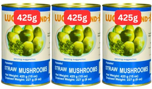 Straw Mushrooms 425g Tins Tinned Mushroom (3x425g)