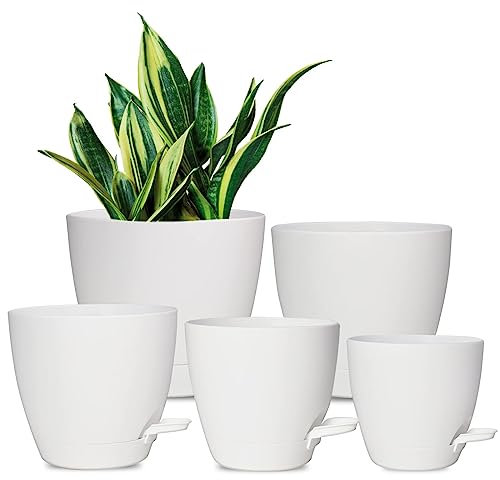 Vanslogreen Vasi per piante, 17/6,5/6/5,5/5 pollici, vasi per piante da interno con foro di drenaggio per piante grasse, viola africano (bianco opaco)