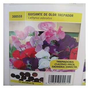 Semillas Planta Flor Guisante de Olor Planta Trepadora de Exterior