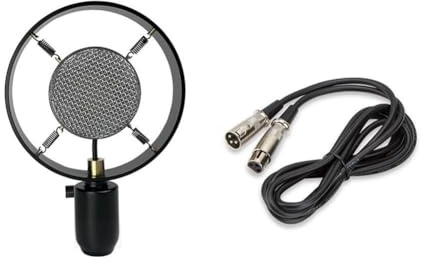 Duanthry For Recording Video Work for Stage Photography Prop Vintage Retro Condenser Microphone Classical Mic Model