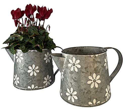 OF 2 Blumentöpfe als Zinkkannen für Blumen - Übertopf Pflanzkübel Blumenkasten Kräutertopf P48