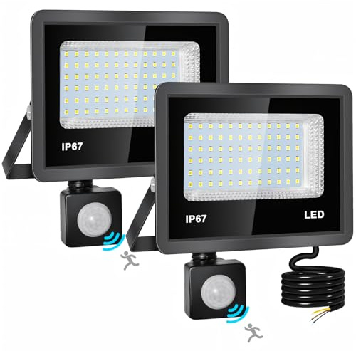 Indmird 2 Stück 30W LED Strahler mit Bewegungsmelder Außen Kaltweiß 6500K | Superhell 3000LM Led Flutlicht Außen IP67 Wasserdicht LED Bewegungsmelder Außenlampe für Garten Garage Wohnen Hinterhof