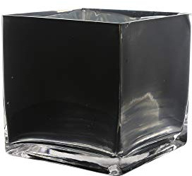 WGV Kub glasvas, ljushållare, 12,7 x 12,7 cm x 12,7 cm, svart elegant blommig accent behållare planterare terrarium förvaring för bröllopsfest ceremoni evenemang kontor heminredning, 1 styck