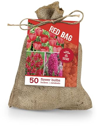 Bloomique - Mix di 50 - The Red Bag - Mix rosso - Tulipani, Giacinti, Ixia - Bulbi - Fioritura primaverile - Perenni