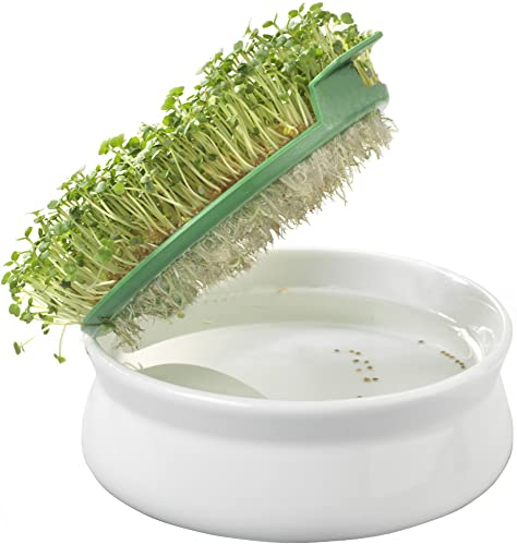 Germ'line - Coupelle de Germination | Spéciale Graines à Mucilage | Cresson, Moutarde, Chia, Basilic | Grès Émaillé & Fibre de Blé | Fabrication Française