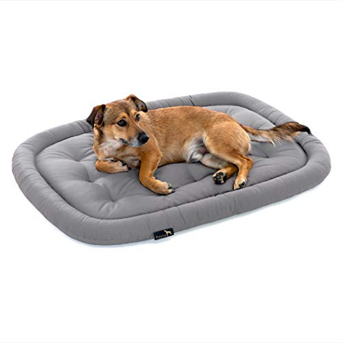 Pointer | Orthopädisches Hundekissen Mittelgroße Hunde, 90x60 cm - Hundebett Waschbar bis 95°C, Geruchsfrei, Robust, Indoor & Outdoor, Made in Germany (L - 90x60 cm, Hellgrau)