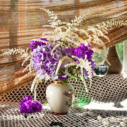 bodendecker phlox winterhart - exotische balkon 550samen