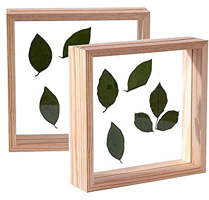 C&Z Trä herbarium växt prov ram, 20 x 20 cm, trämaterial, för pressade blommor torkade blad display skrivbord bord väggdekoration, dubbelsidig akryl