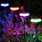 ZWOOS 4PC RGB Luci Solari Esternoi Per Giardino All'Aperto, Luce Solare Esterno Per Esterno, Molto Luminoso Ip65 Impermeabile, Adatto Per Patii, Vasi Di Fiori, Di Illuminazione Del Percorso