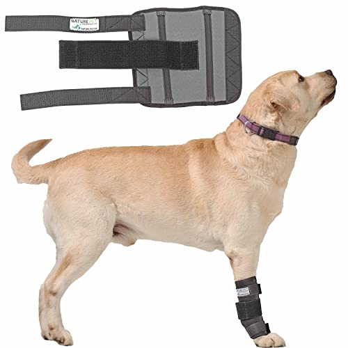 Medium Vorderlauf Bandage für Hunde, Karpal Gelenk- & Knochenschutz für Hunde - geeignet für leichte Gelenkinstabilitaeten - leichte Bänderdehnungen - Leckschutz und Verbandschutz nach OP (M)