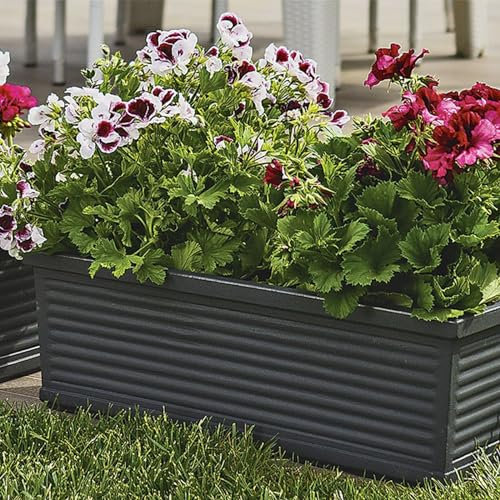 Decorspace Balkonkasten, rechteckig, aus Kunstharz, Dekoration für Blumen und Pflanzen, Made in Italy (60 cm, Anthrazit)