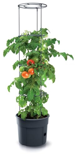 URBN GARDEN Tomaten-Züchterturm, Kunststoff, für drinnen und draußen, Pflanzen-Blumentopf