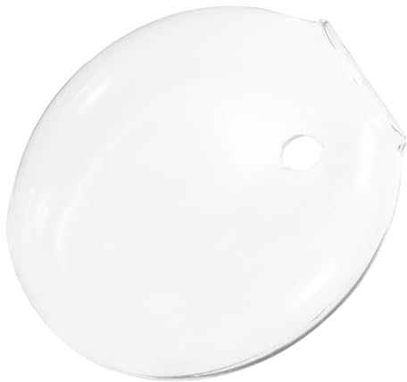 Milisten Hängende Glasblumenampel Für Pflanzen Dekorative Wandvase Robustem Für Terrarium Und Hydroponik Für Balkon Und Innenräume