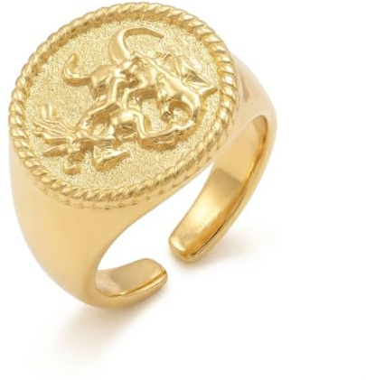 Heideman Ringe Herren aus Edelstahl gold farbend poliert Siegelring Herrenring für Männer