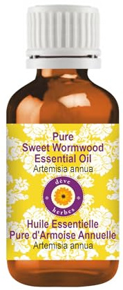 Deve Herbes Pure Sweet Wormwood Essential Oil (Artemisia annua) Non-Sticky | Non-Greasy | Fresh Herbal Aroma | for Aromatherapy, Massage & DIY Use | Steam Distilled 15ml