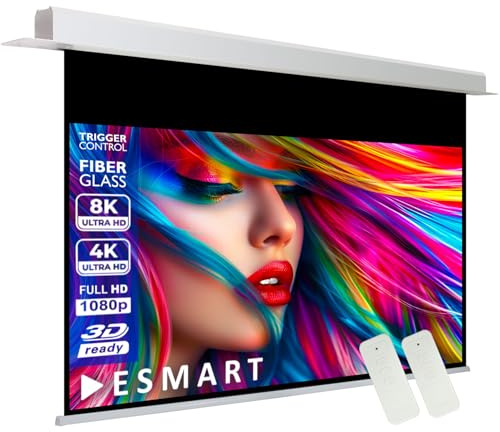 ESMART Expert CSX Deckeneinbau-Leinwand, Gesamtbreite 318 cm, Tuch: Weiß