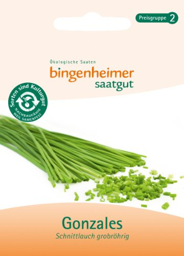 Bingenheimer Saatgut - Gonzales Schnittlauch grobröhrig - Kräuter Saatgut / Samen