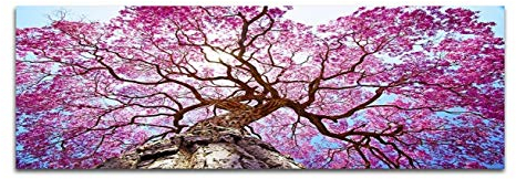 Augenblicke Wandbilder Keilrahmenbild Wandbild 150x50cm Lapacho-Baum Blüten rosa Sonnenstrahlen