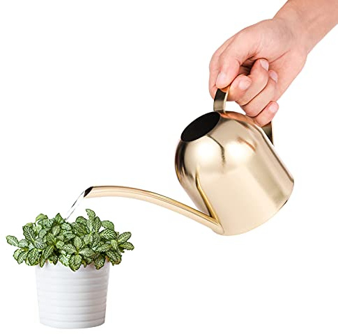 Saicowordist Arrosoir en acier inoxydable brossé à long goulot pour arroser les plantes d'intérieur et d'extérieur, mini arrosoir moderne en métal pour plantes d'intérieur (or)
