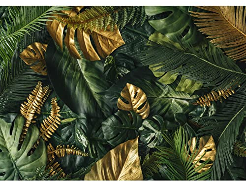 Runa Art Carta da parati fotografica foglie tropicali Monstera Moderno Vello Soggiorno Camera Da Letto Sala - Made in Germany - oro verde 9591010a