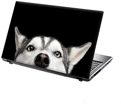 TaylorHe Folie Sticker Skin Vinyl Aufkleber mit bunten Mustern für 15 Zoll 15,6 Zoll (38cm x 25,5cm) Laptop Skin blau, tiger