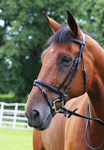 Gallop Leather Padded Bridle with FREE Rubber Reins Black or Brown