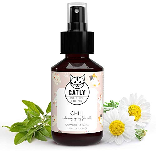 Catly Katzenminze Spray als Beruhigungsmittel für Katzen - Natürliches Entspannungs- & Anti-Stress-Mittel für Katzen, Katzenminze Catnip, Katzen Beruhigungsmittel, Catnip Spray Katze Beruhigung, 100ml