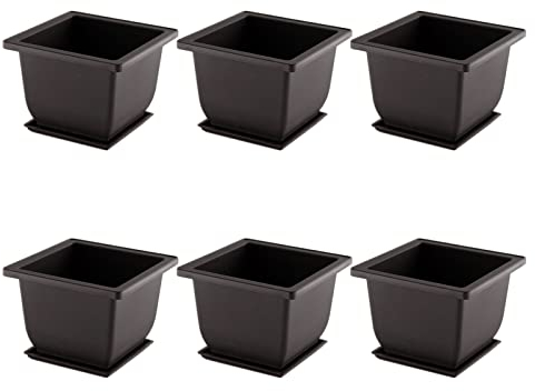 Molyorch 6 Stück BonsaiTrainingstöpfe mit Tablett Blumentopf, Quadratischer Sukkulente Topfpflanzen Pflanztopf für Garten, Wohnzimmer und Büro, Bonsai Pflanzen Pflanztopf (Quadrat)