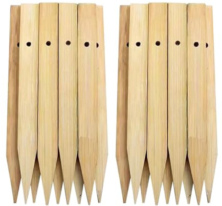 Lot de 20 piquets de jardin en bois de 20 cm, piquets de support pour plantes, piquets de sol robustes en bois, panneaux de légumes, piquets de clôture extérieure, piquets de bordure avec trous pour
