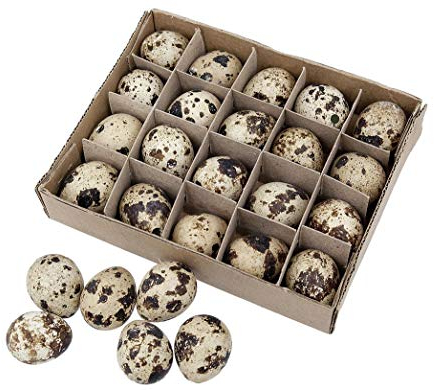 Steingaesser Pack of 20 Quail Eggs Blown Out Natural Decoration Easter Decoration Crafts Easter Decoration Eggs Quail Decorative Eggs Easter Decoration Feather