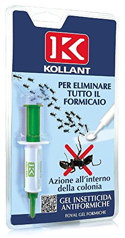 Adama 00768719 Foval Gel Insetticida per il con Trollo delle Formiche, Multicolore
