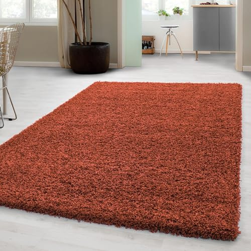 Carpetsale24 Shaggy Hochflor Teppich 120x170 cm Terrakotta weich flauschig modern einfarbig Für Wohnzimmer oder Schlafzimmer für Wohnzimmer Schlafzimmer Flur