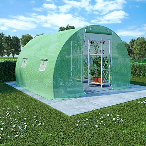 FIRBNUS Serre 6 m2 Vert 3x2x2 m Serre de Jardin Exterieur Grand Espace Abri Plantes Légumes Hiver Maison à Tomates Serre Fleurs PE Serre de Terrasse Cour Balcon Contre Les Oiseaux