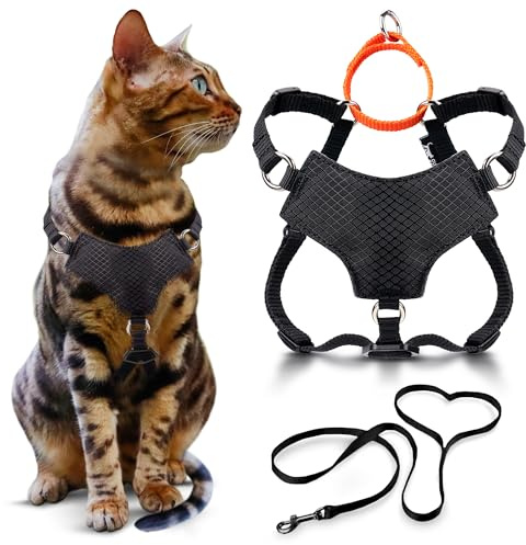 OutdoorBengal Always On™ Martingale Katzengeschirr und Leine, ausbruchsicheres Set – Weste für ganztägige Kätzchen-Abenteuer – ausgewachsene Katzen – Katzenleine und Geschirr ausbruchsicher + Leine