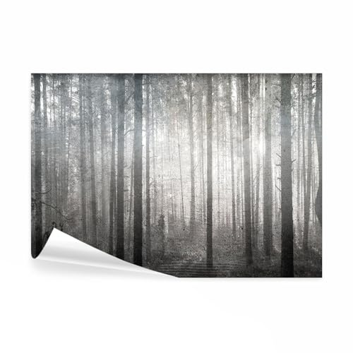 decomonkey Fototapete Baumkronen Wald, 350x256 cm, Baum Natur Schwarz Weiß