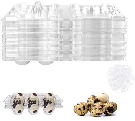 Pack of 50 quail egg boxes, 6 grids, quail egg boxes, egg trays with lid with 100 pieces elastic band