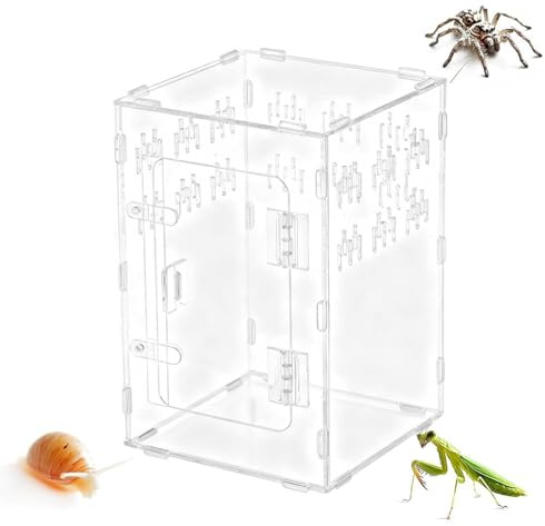 Tarantula Inneslutning, Genomskinlig Klättringszon, Terrarium För Reptil, För Havssköldpadda Skäggagam Orm Landsköldpadda Gecko Eremitkräfta Reptil Fisk