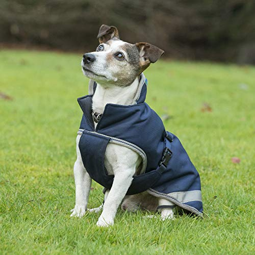 Bucas Freedom Dog Blanket Hundemantel light (Navy, 70)