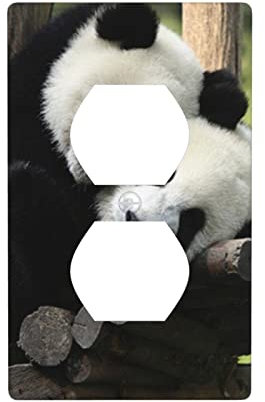 Deux grands pandas cache-plaques murales, plaques murales pour prises électriques, décoration parfaite pour les murs.