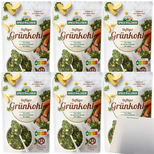 Spreewaldhof Grünkohl Fix und Fertig mit Kartoffelstückchen und Schmalz 6er Pack (6x400g Packung) + usy Block