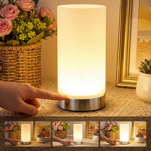 Warmiehomy Touch Bedside Lamps, Modern USB Rechargeable Glass Table Lamp with Detachable Cable, Built-in LED Light Source, 3-Way Dimmable Touch Lamps Bedside Small Night Light for Bedroom Living Room