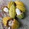PERZOE 40 semillas de fruta de cacao, decoración de plantas de jardín para el hogar, germinación de árboles