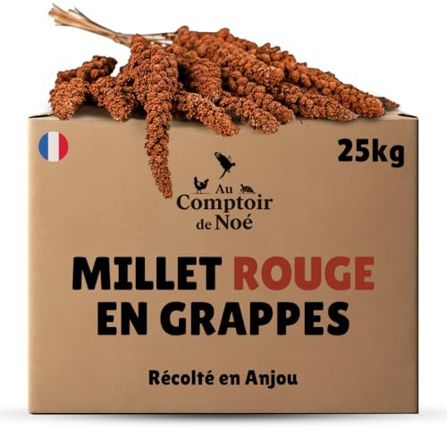 Au Comptoir de Noé Millet Rouge en Grappes 25kg, Alimentation pour Oiseaux, Récolté en France en Anjou, 100% Naturel, Millet Français pour Développer la Vitalité, Graines pour Oiseaux Domestiques