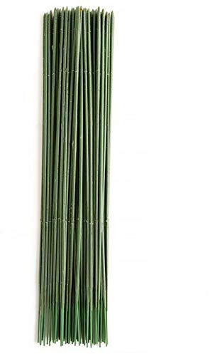 QOTSTEOS 100 PCS Floral Wire Stems, Green Florist Thick Stub Stem Floristry Cut Wire, Ideal for Flower Decoration (Size: 25cm)