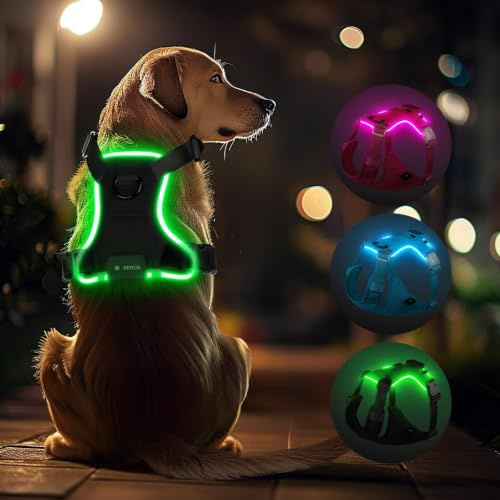 Feycig Hundegeschirr Leuchtend für Große Hunde | LED Hundegeschirr Aufladbar Einstellbar Reflektierendes Brustgeschirr, Hohe Sichtbarkeit Leucht Geschirr (Schwarz, Medium)