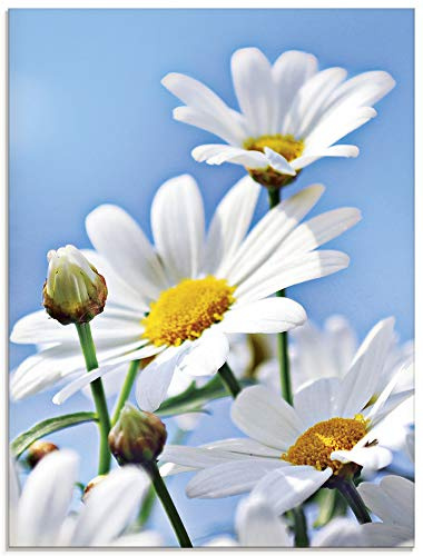 ARTland Wanddeko Glasbilder Wandbild Glas Bild einteilig 45x60 cm Hochformat Natur Blumen Blüten Gänseblümchen Margeriten Landhaus T2YI