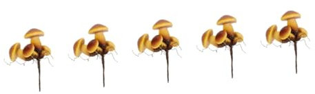 Sosoport 5 Pièces Plugin Champignon Ornement De Cour De Champignon Décor De Champignons en Plein Air Ornements De Sol Extérieurs Sculpture De Pieu De Champignon De Jardin Plastique