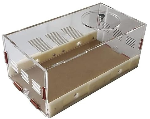 Acryl-Ameisenschloss, Ameisenterrarium, Ameisenlebensraum, Ameisenkolonie, Ökosystem, Ameisenfarm, Kinder Studieren Ameisenverhalten, Ameisennestfarm, Lernset